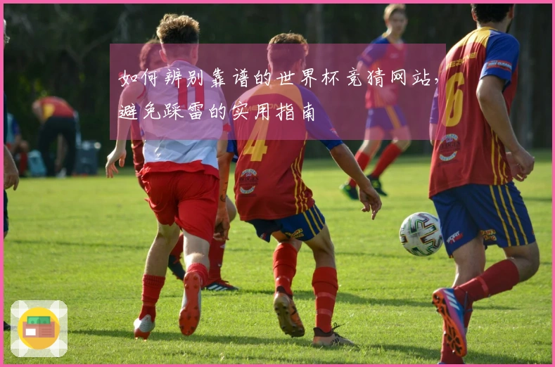 如何辨别靠谱的世界杯竞猜网站，避免踩雷的实用指南