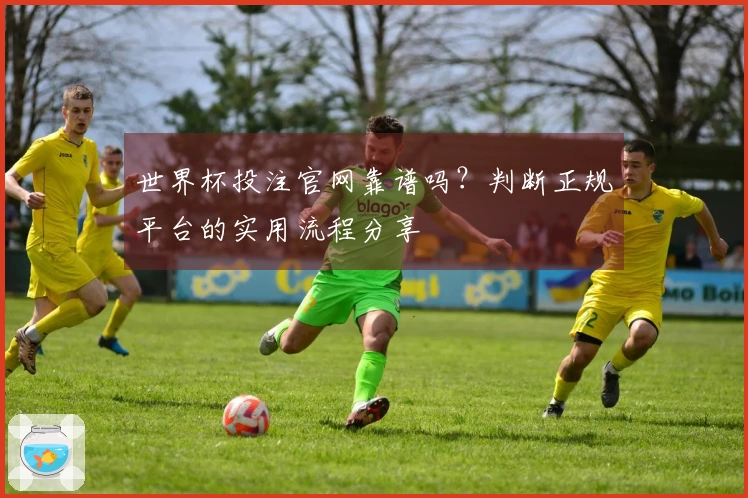 世界杯投注官网靠谱吗？判断正规平台的实用流程分享
